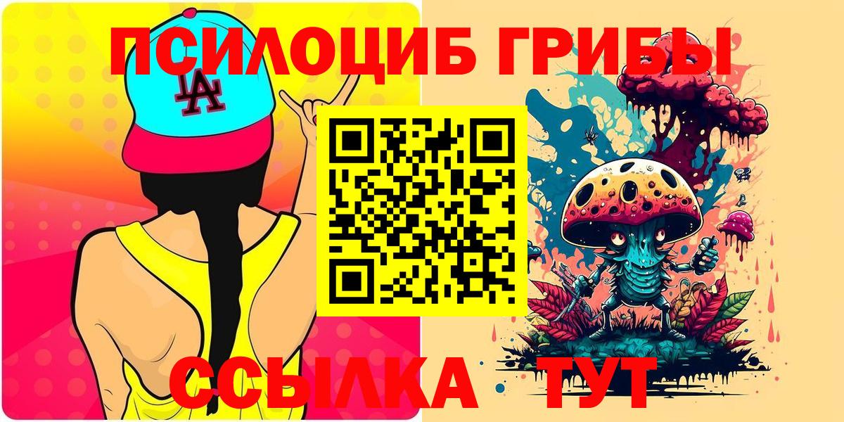 купить наркоту  Галлюциногенные грибы Psilocybine cubensis  Вход с VPN  Галлюциногенные грибы прущие грибы  Петрозаводск 