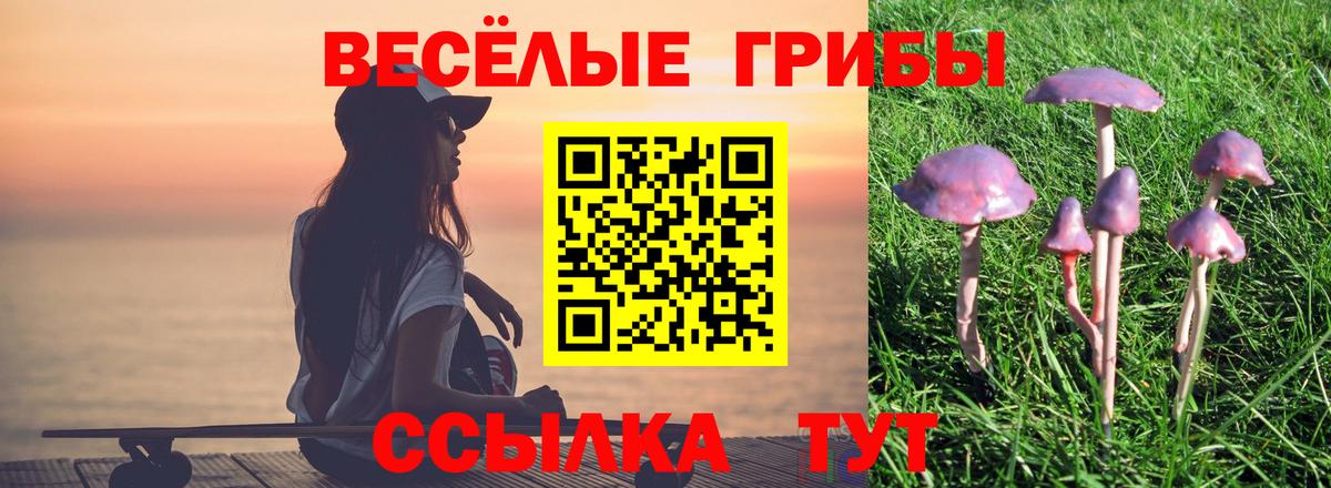 ГАШИШ  NBOMe  Кокаин  Экстази  Петрозаводск  ГАШИШ  Бошки Шишки  Вход с VPN  Меф МЯУ МЯУ  